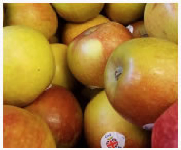 Apples per KG