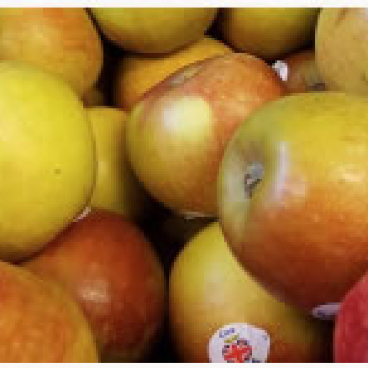 Apples per KG