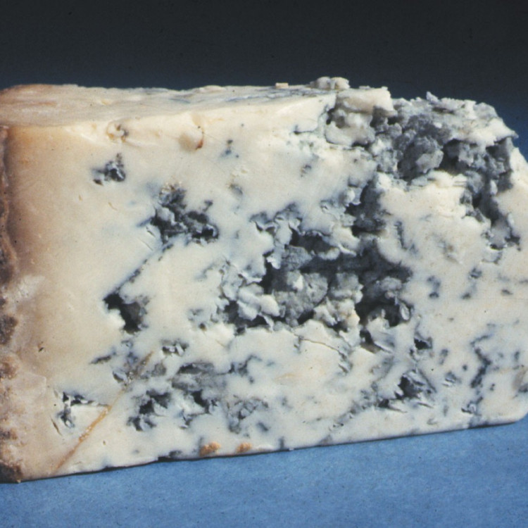 Blue Cheese 500g