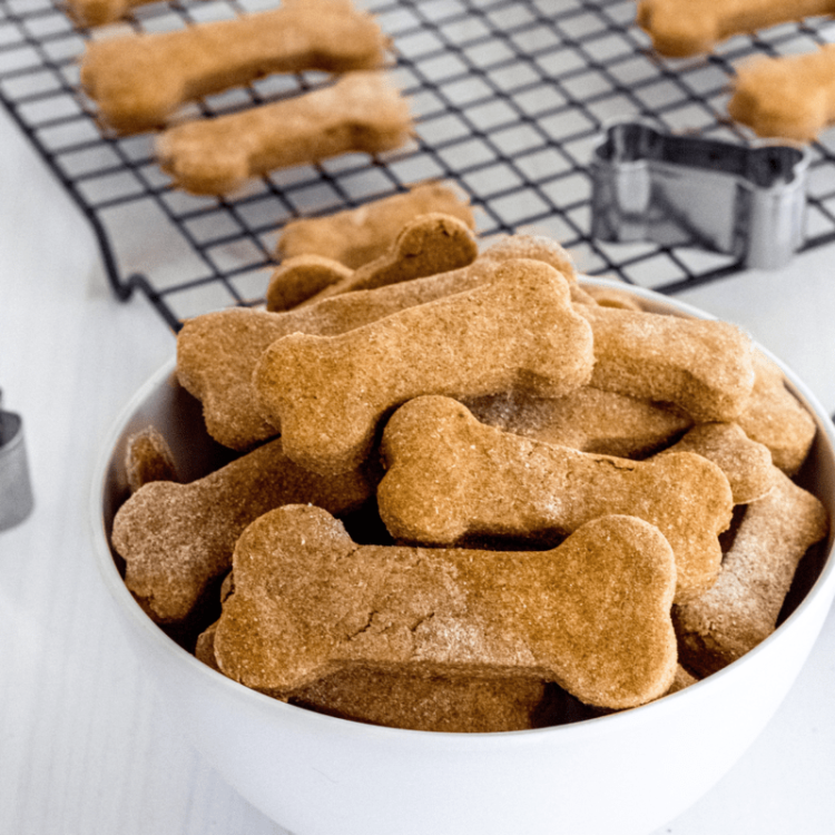Bone Biscuits