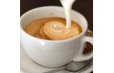 Thumbnail of cappuccino1_595943.jpg