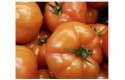 Thumbnail of tomatoes-per-kg_122899.jpg