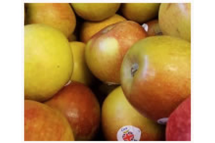 Apples per KG